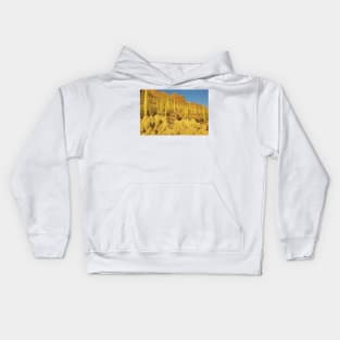 Sonoran Desert Landscape Kids Hoodie